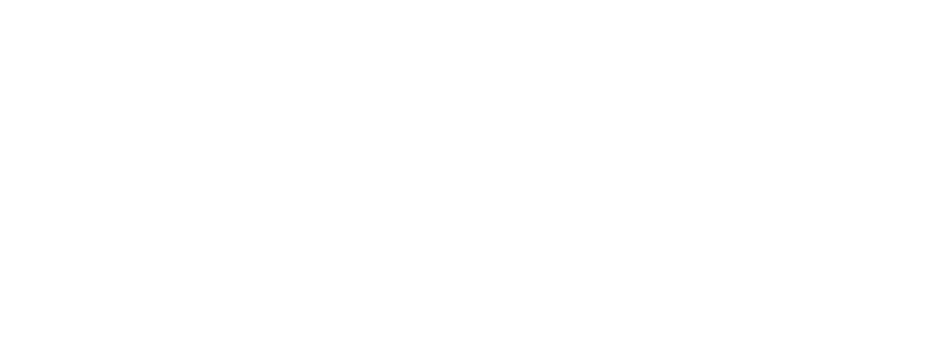 Stylist